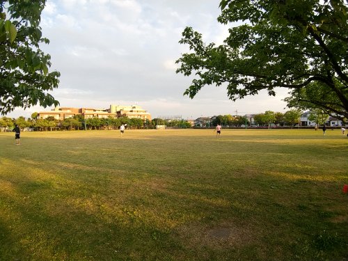 公園　香澄公園（公園）まで249m
