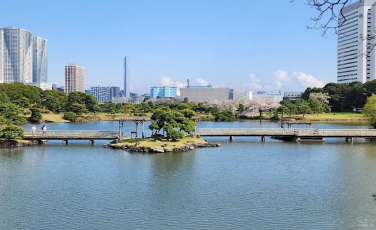 公園　浜離宮恩賜庭園（公園）まで500m