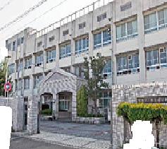 小学校　堺市立 上野芝小学校（小学校）まで728m