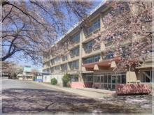 小学校　国立市立 国立第七小学校（小学校）まで613m