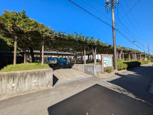 公園　曼陀羅寺公園（公園）まで264m