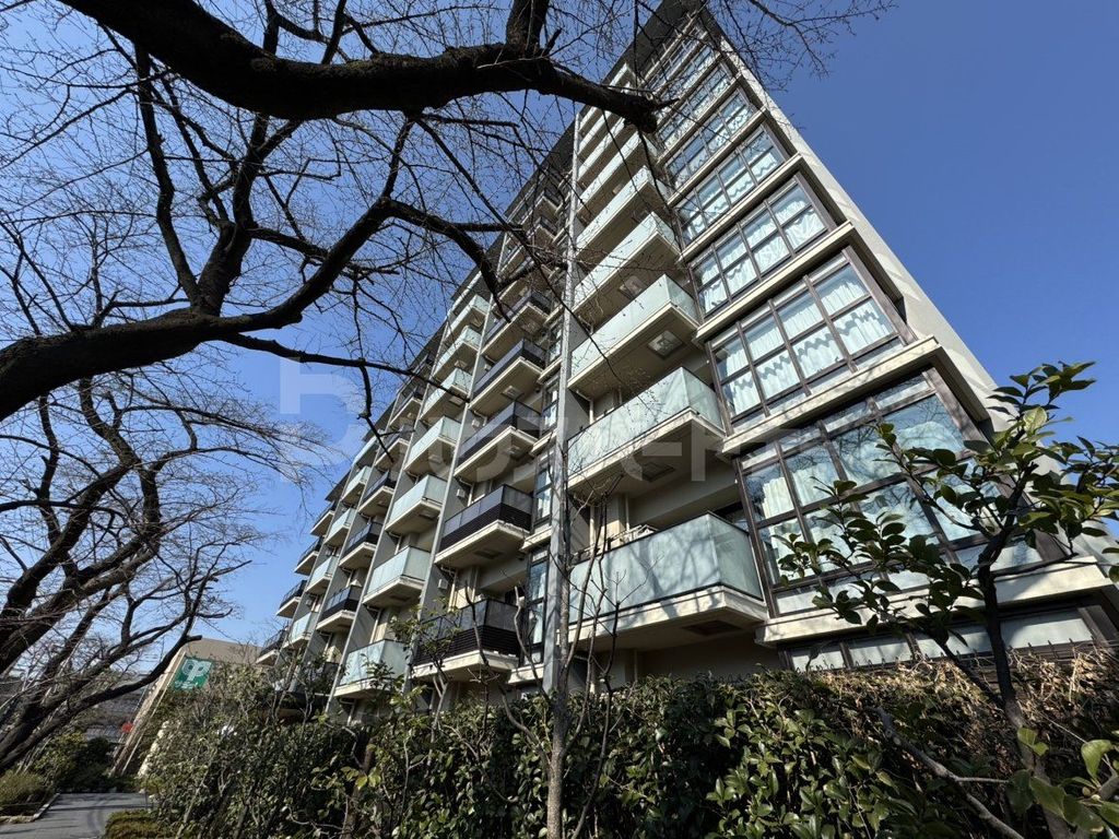 建物外観　眺望