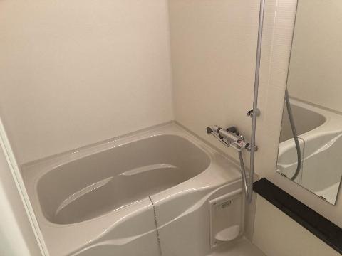 プレサンスNEO大和田STATIONベゼルの風呂写真