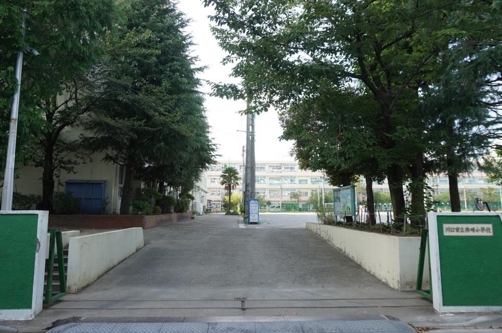 小学校　川口市立柳崎小学校（小学校）まで341m