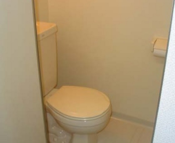 トイレ　他号室のお写真です