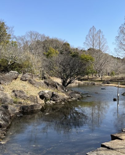 【ソルグランデの公園】