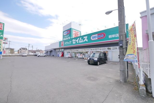 ドラックストア　ドラッグストアバイゴー根岸店（ドラッグストア）まで596m