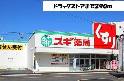 ドラックストア　スギ薬局（ドラッグストア）まで290m