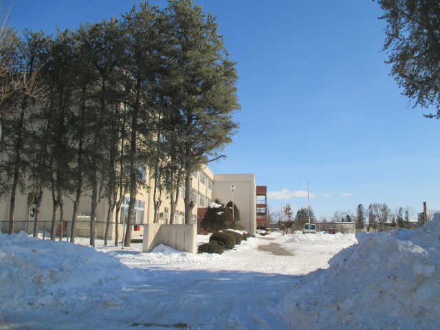 小学校　帯広市立花園小学校（小学校）まで919m