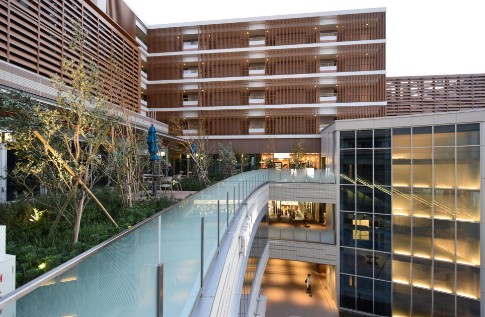 ショッピングセンター　パークシティ武蔵小山ザモール（ショッピングセンター）まで805m