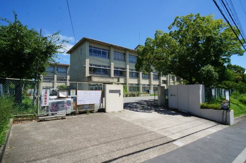 小学校　奈良市立朱雀小学校（小学校）まで316m
