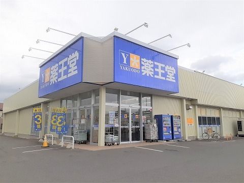 ドラックストア　薬王堂北上黒沢尻店（ドラッグストア）まで1000m