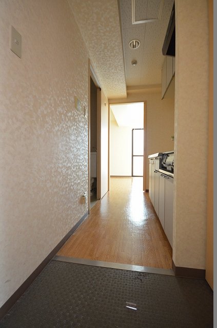 玄関　※同建物・別号室の写真です