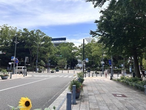 公園　横浜公園（日本大通り側）（公園）まで375m