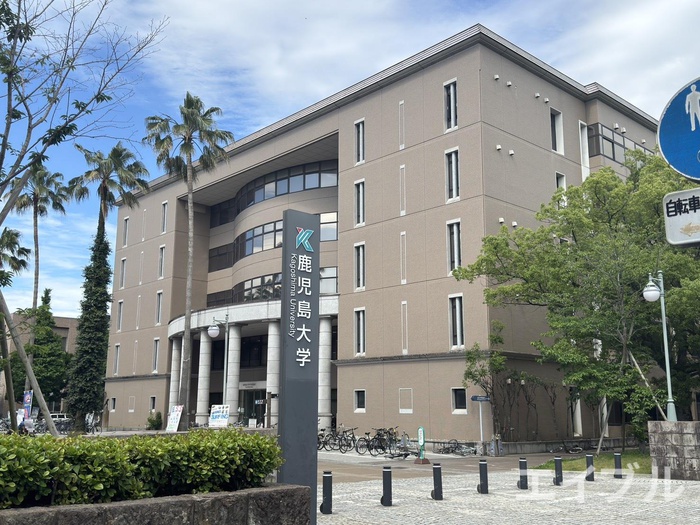 大学・短大　鹿児島大学（大学・短大）まで700m