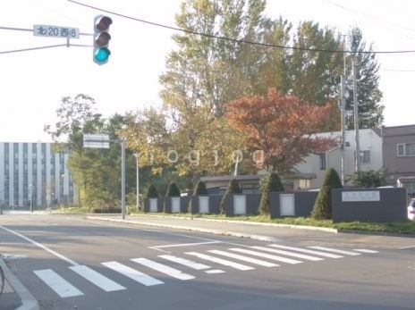大学・短大　国立北海道大学　北２０条東門（大学・短大）まで521m