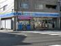 コンビニ　ローソン田園調布南店（コンビニ）まで251m