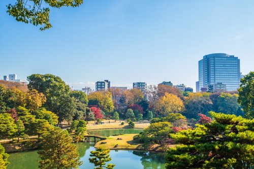 その他　六義園（その他）まで2181m