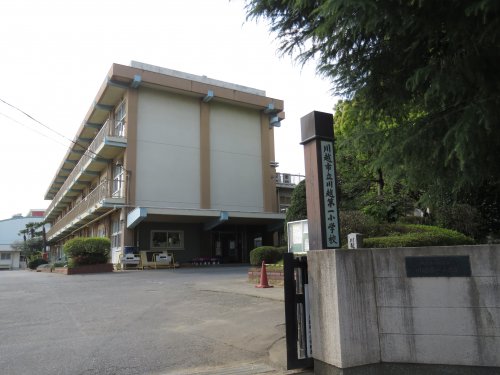 小学校　川越市立川越第一小学校（小学校）まで1213m