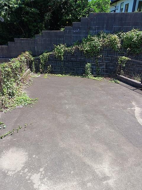 シャンドフルールのその他写真