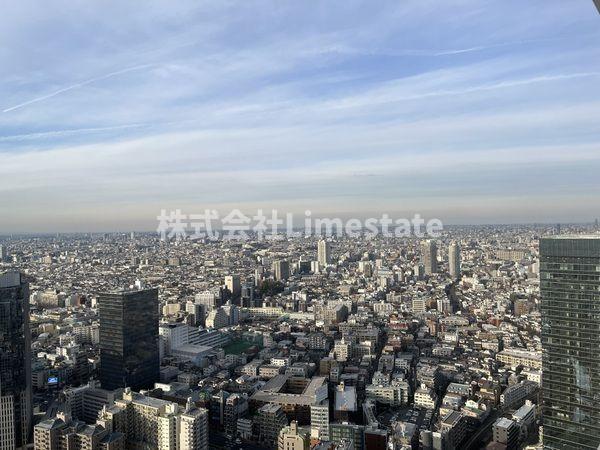 【ザ・パークハウス西新宿タワー60の眺望】