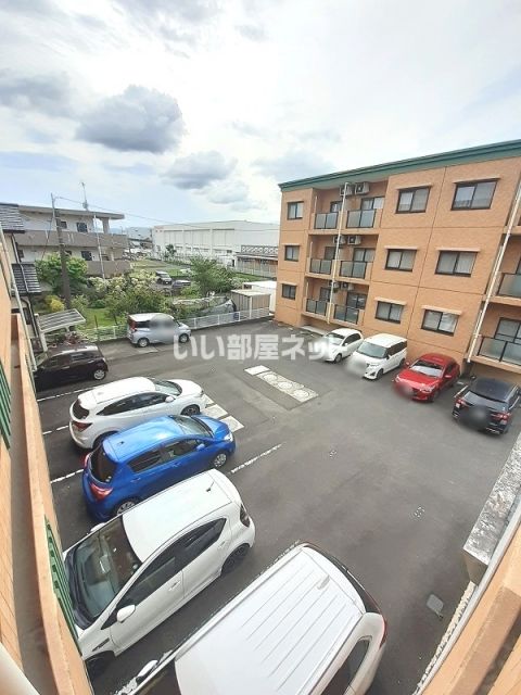 サウスウイング_その他_6