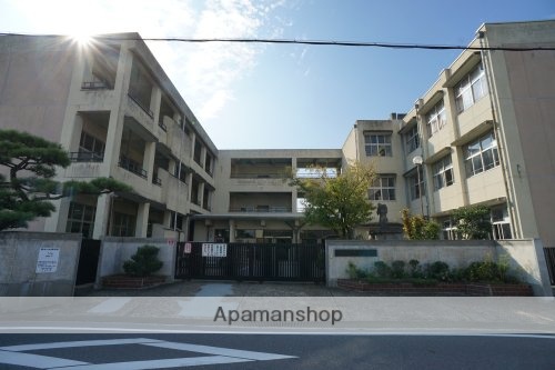 小学校　大和郡山市立筒井小学校（小学校）まで954m