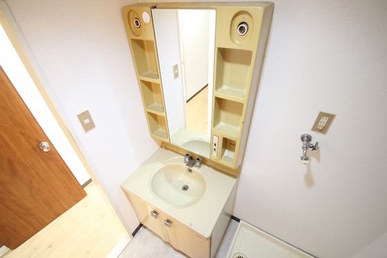 洗面設備　※別号室の写真です。