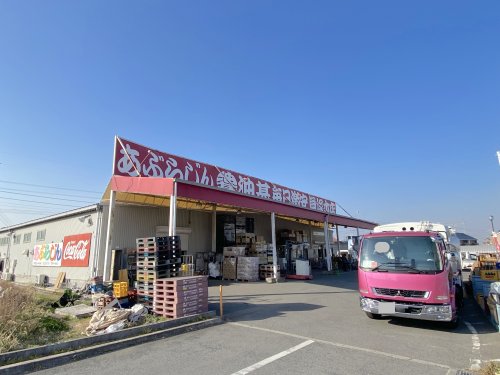 その他　油甚（その他）まで916m