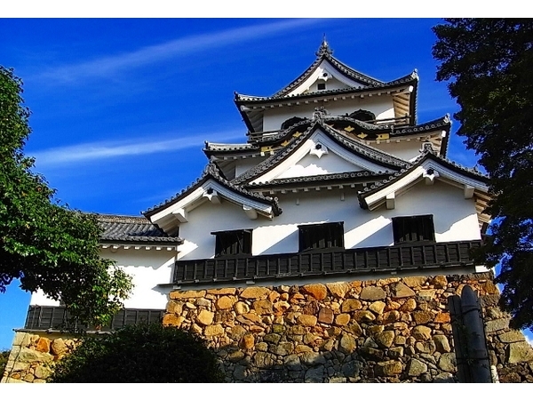 その他　彦根城（その他）まで900m