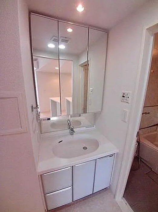 洗面設備　※別部屋参考写真