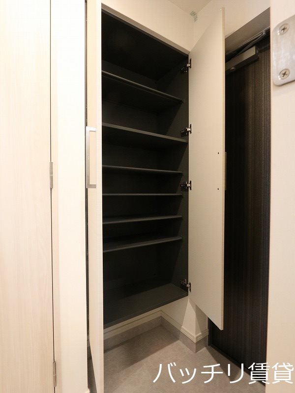 玄関　画像は別号室タイプの為、現状を優先いたします