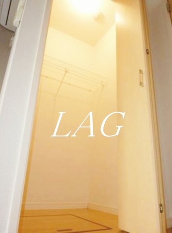 収納　ウォークインクローゼットです。