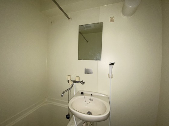 洗面設備　※別号室の写真です