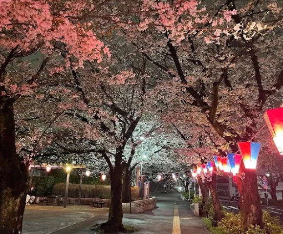 公園　大井水神公園（公園）まで91m