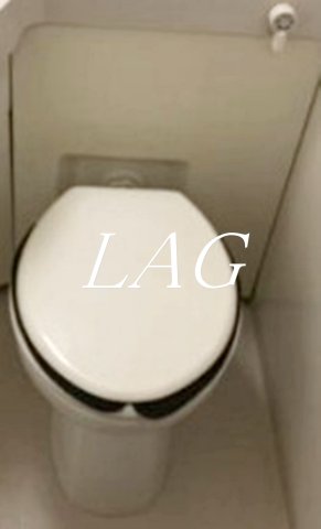 トイレ　トイレです。