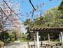 公園　宝来公園（公園）まで1541m
