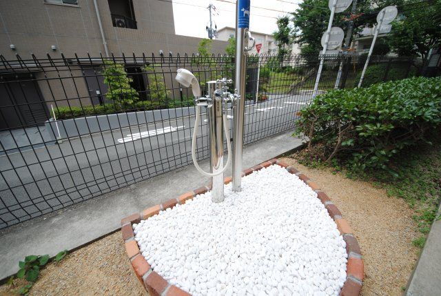 庭