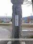 小学校　諏訪市小学校中洲小学校（小学校）まで1246m