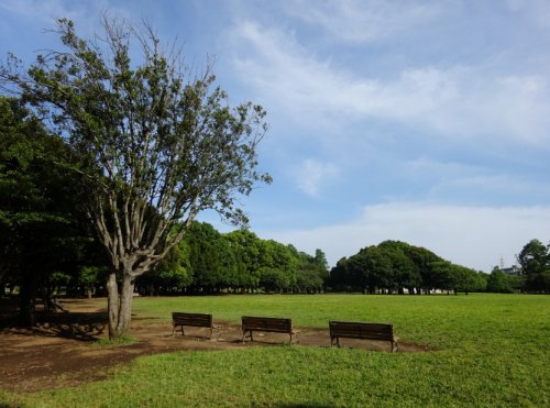 【キッサの公園】