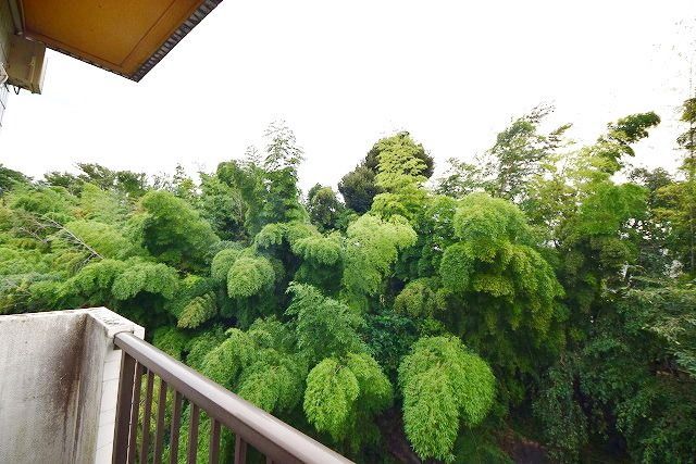 眺望　同建物別号室参考写真です