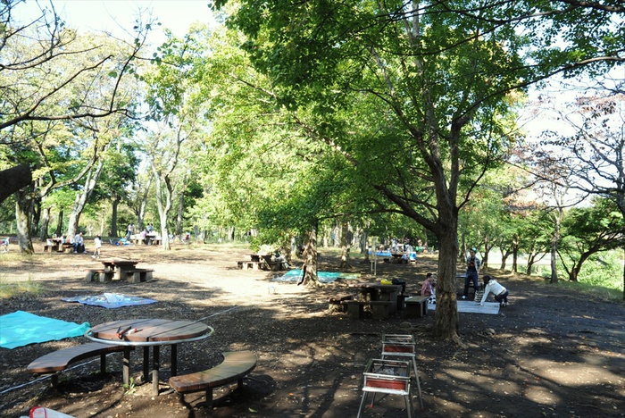 公園　武蔵野公園（公園）まで584m