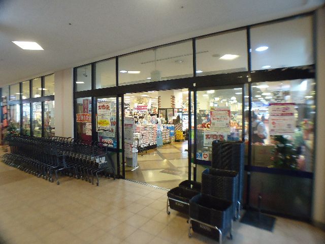 スーパー　コーヨー住吉店（スーパー）まで719m