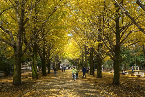 【グリーンヒルズの公園】