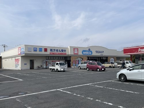 ドラックストア　ウェルシア　白子店（ドラッグストア）まで2239m