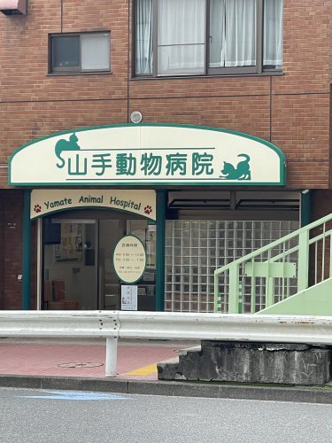 病院　山手動物病院（病院）まで716m