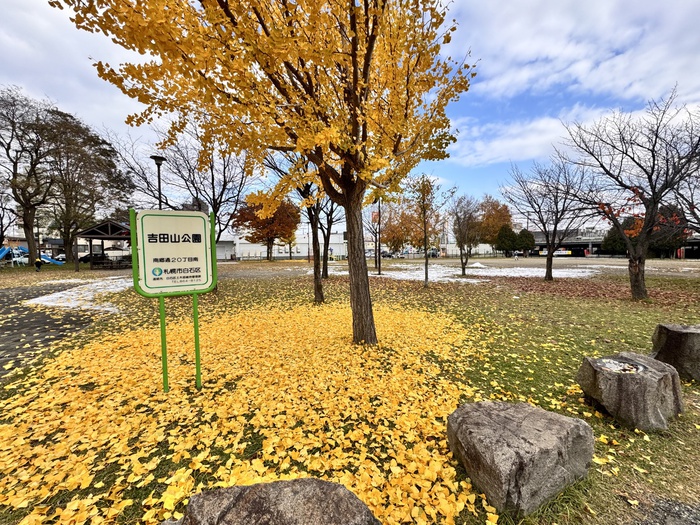 公園　吉田山公園（公園）まで400m
