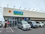 ドラックストア　ゲンキーひばり通り店様（ドラッグストア）まで570m