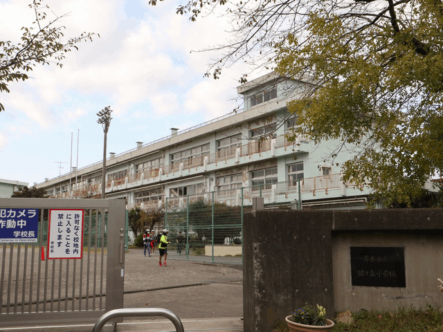 小学校　厚木市立緑ケ丘小学校（小学校）まで982m