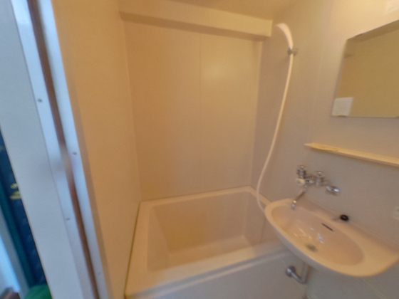 バス・シャワールーム　※別部屋の写真です